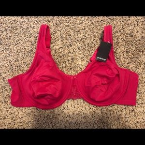 Plus Size Bra